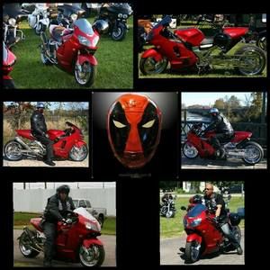 Meet your Posher, Bobby